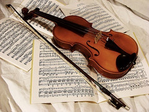 Concerto strumentale della Giovane Orchestra 